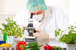 Новая госслужба заменит госветфитослужбу, госпотребинспекцию и СЭС