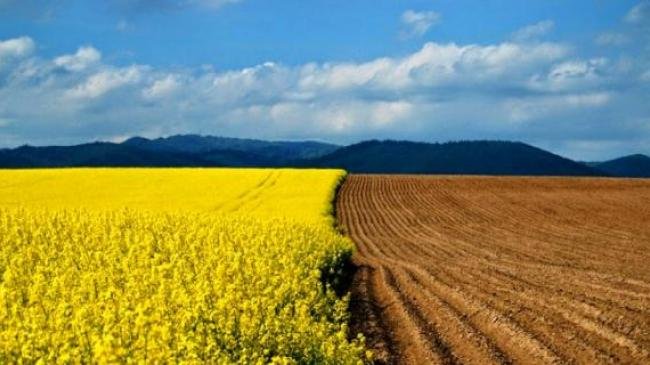 Інтерв'ю з головою Держгеокадастру: "Країна фактично розграбована, землю вже поділили". (Фото. Відео) Частина 1