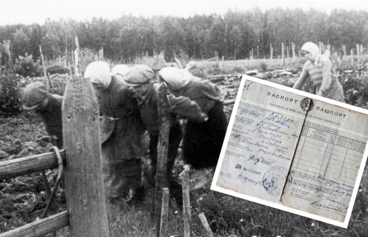 Ждунам (щоб освіжити пам'ять)... Як жили колгоспники у сересері